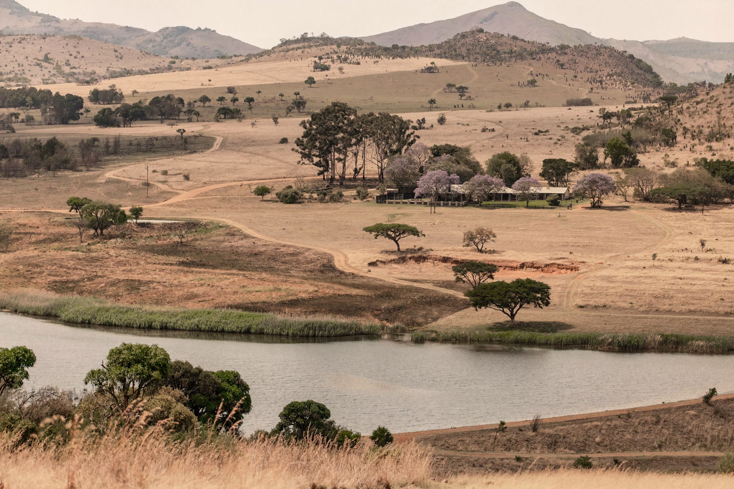 Dawsons Game Lodge