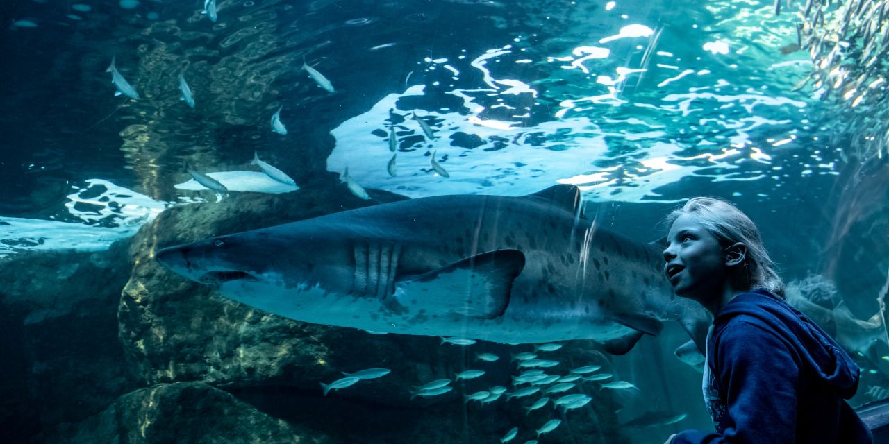 Two Oceans Aquarium